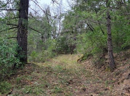 3291 Stage Trail Rd, Greenwood, CA 95635 Photo