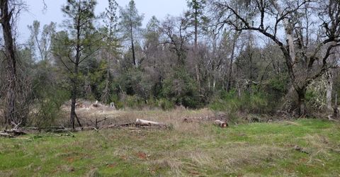 3291 Stage Trail Rd, Greenwood, CA 95635 Photo