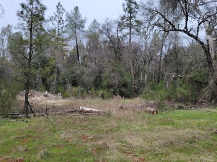 3291 Stage Trail Rd, Greenwood, CA 95635 Photo