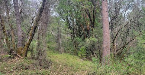 3291 Stage Trail Rd, Greenwood, CA 95635 Photo