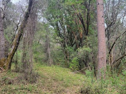 3291 Stage Trail Rd, Greenwood, CA 95635 Photo