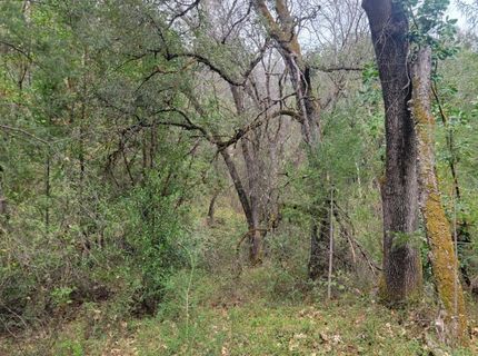 3291 Stage Trail Rd, Greenwood, CA 95635 Photo