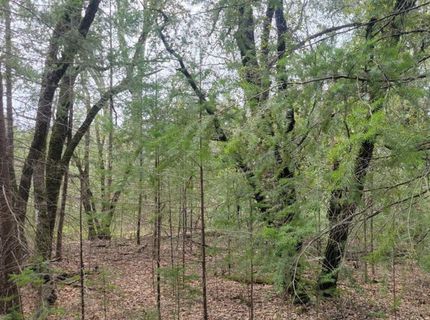 3291 Stage Trail Rd, Greenwood, CA 95635 Photo