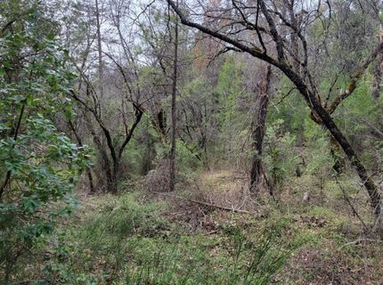 3291 Stage Trail Rd, Greenwood, CA 95635 Photo