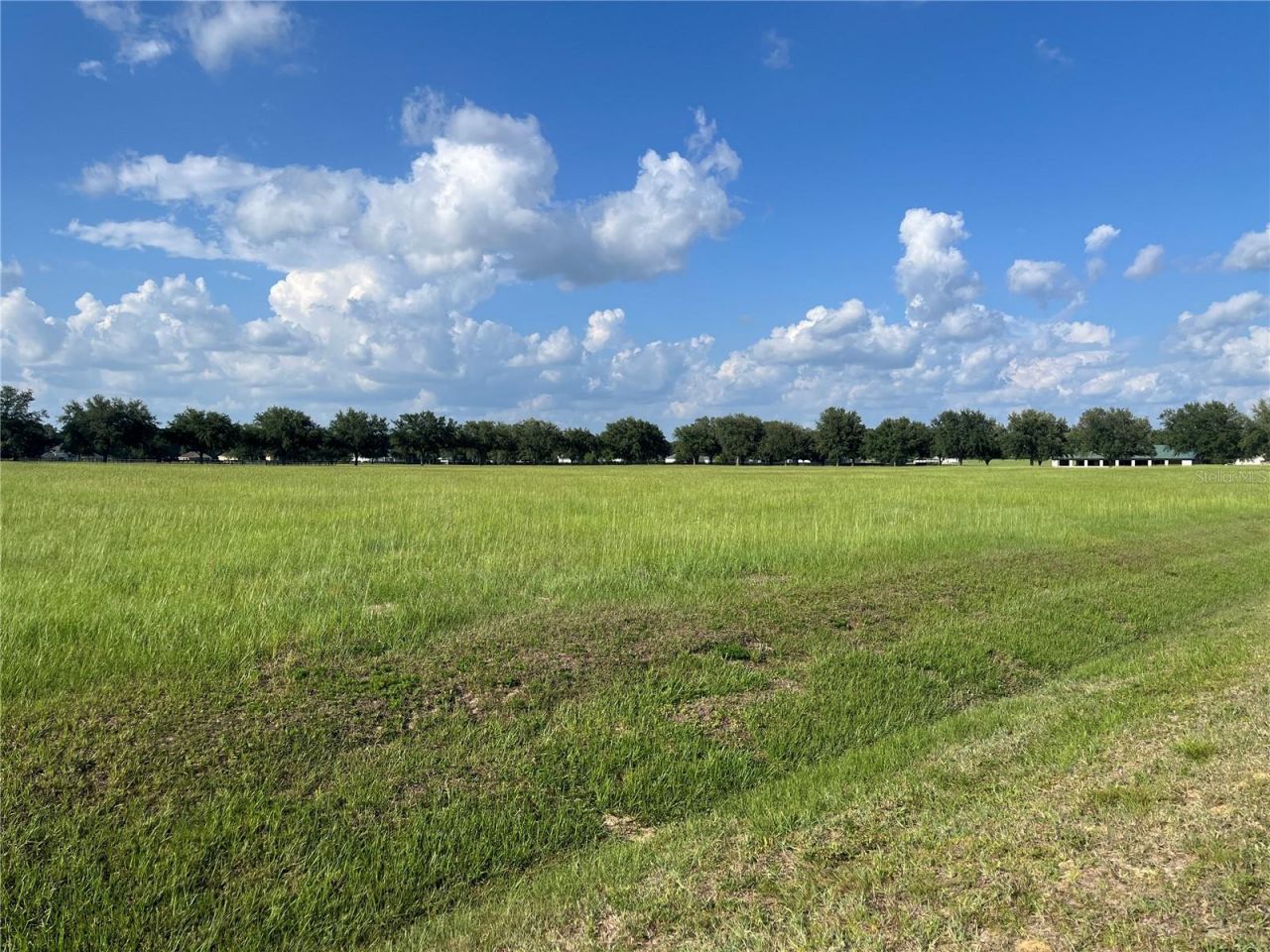 Tbd 54 Loop, Ocala, FL 34482 Photo