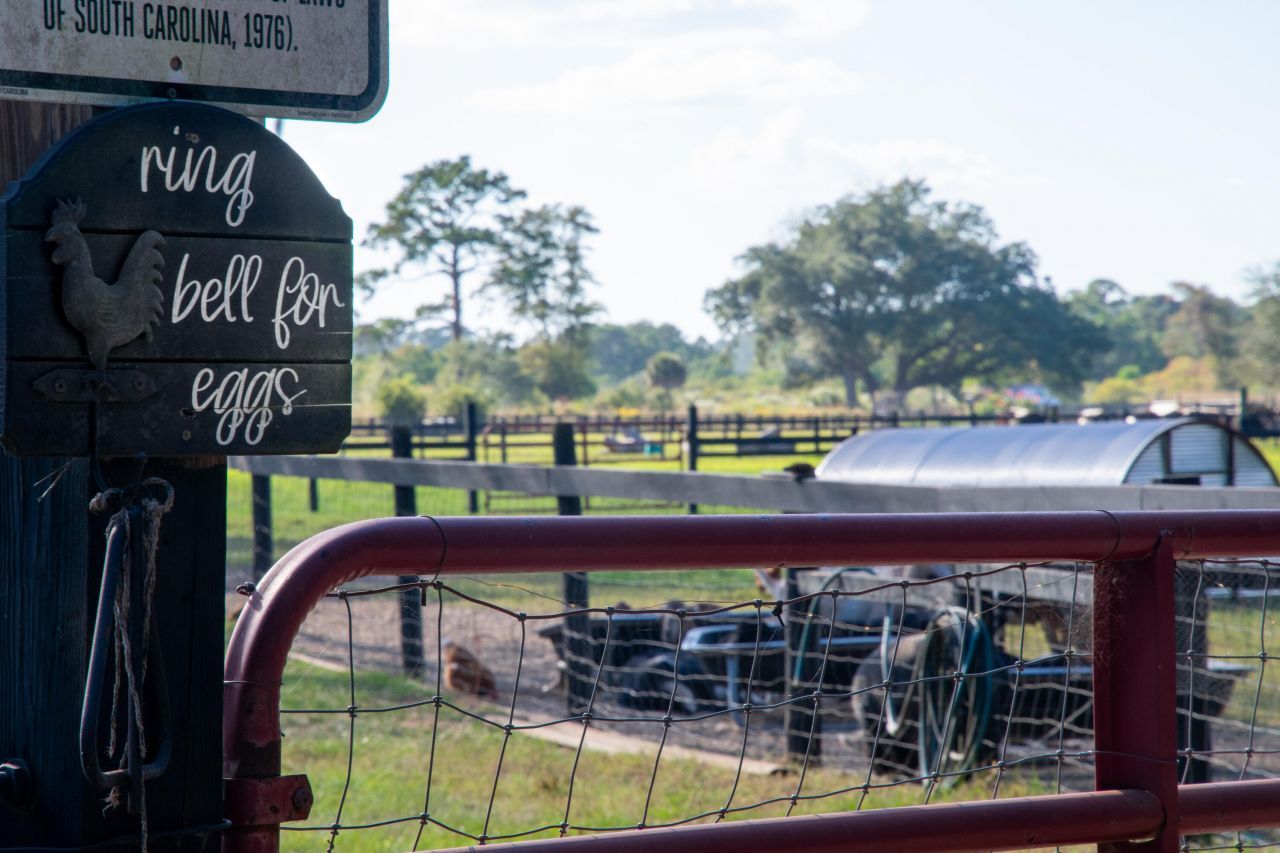 7021 Sounding Lane Photo 46