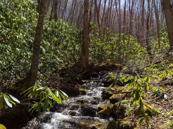 Lot 50 Bearwallow Ridge Trail, Qualla, NC 28719