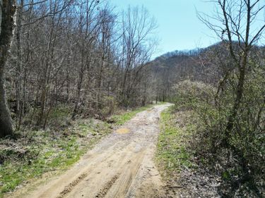 9999 Hales Fork Road, Dewitt, KY 40930