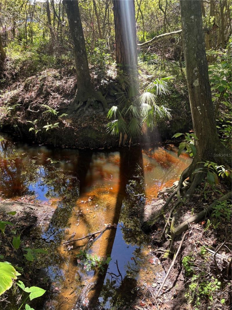 7265 Beach Road, Elkton, FL 32033 Photo