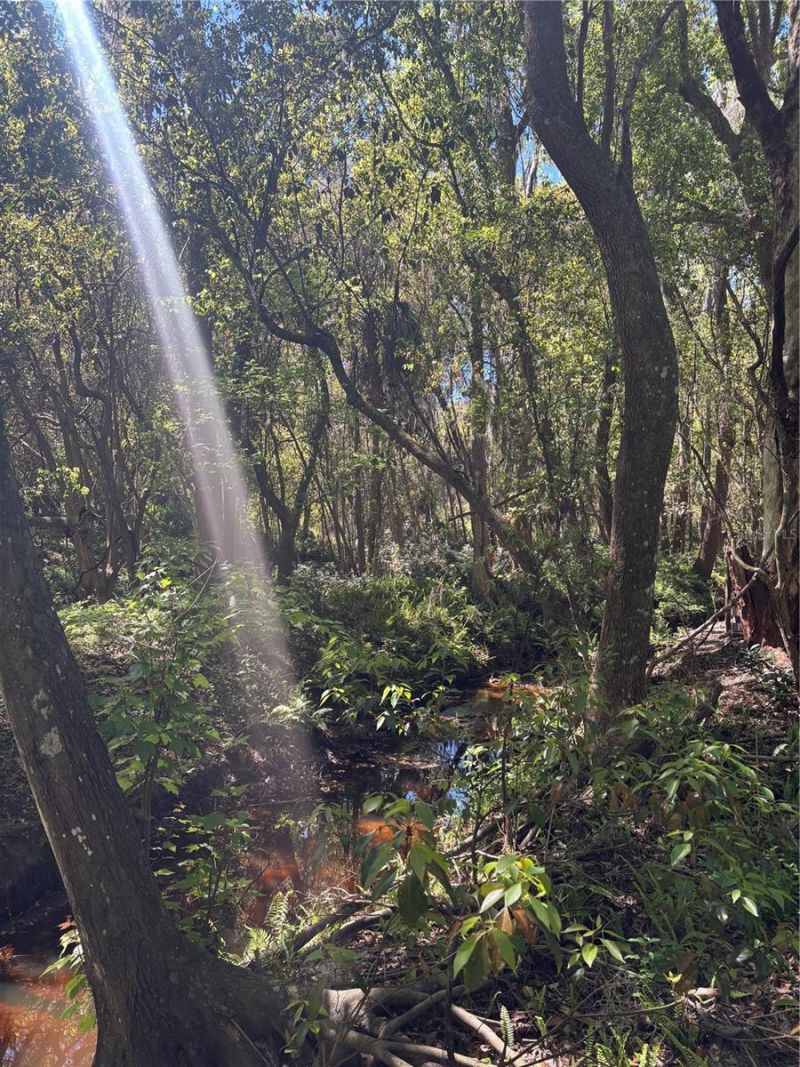 7265 Beach Road, Elkton, FL 32033 Photo