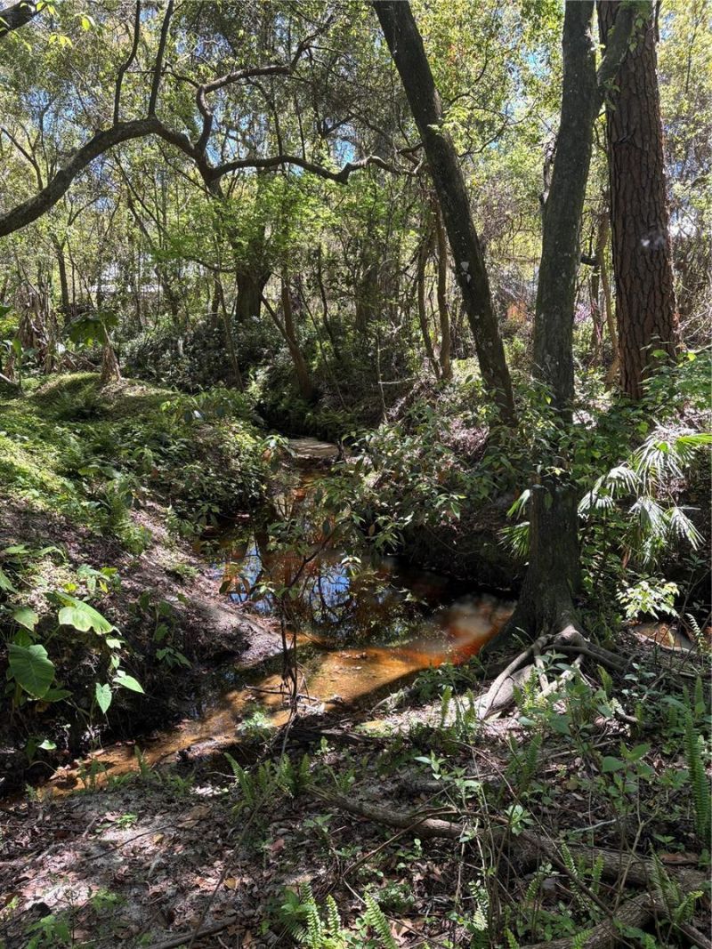 7265 Beach Road, Elkton, FL 32033 Photo