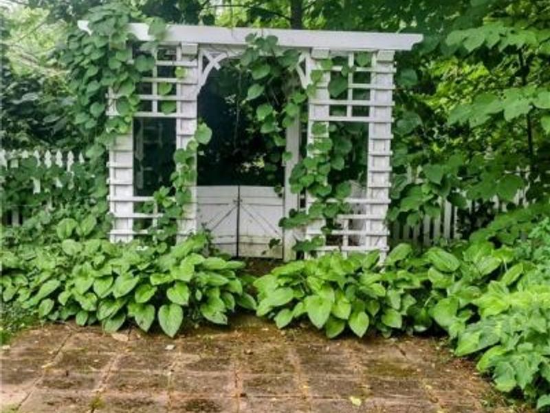 6846 Wakefield, Hiram, OH 44234 Photo 6