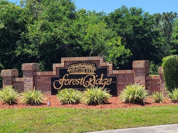 100 WOOD DOVE AVENUE, TARPON SPRINGS, FL 34689