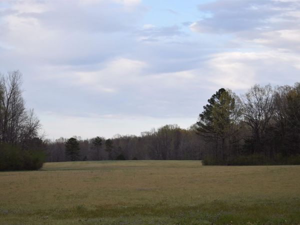 0 HWY 193 RD, Williston, TN 38060