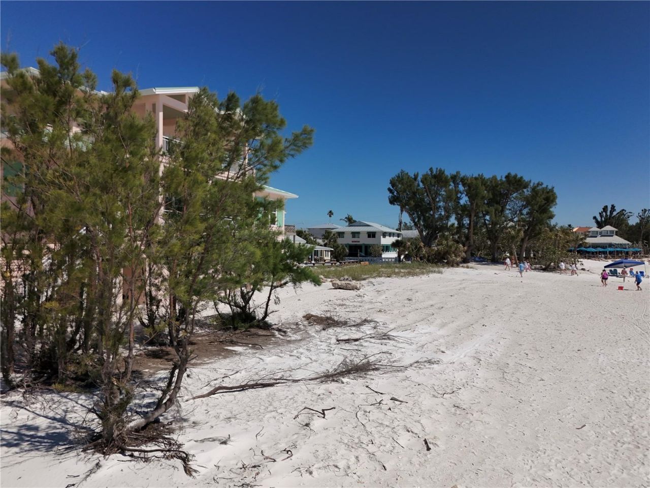 103 Elm Avenue, Anna Maria, FL 34216 Photo