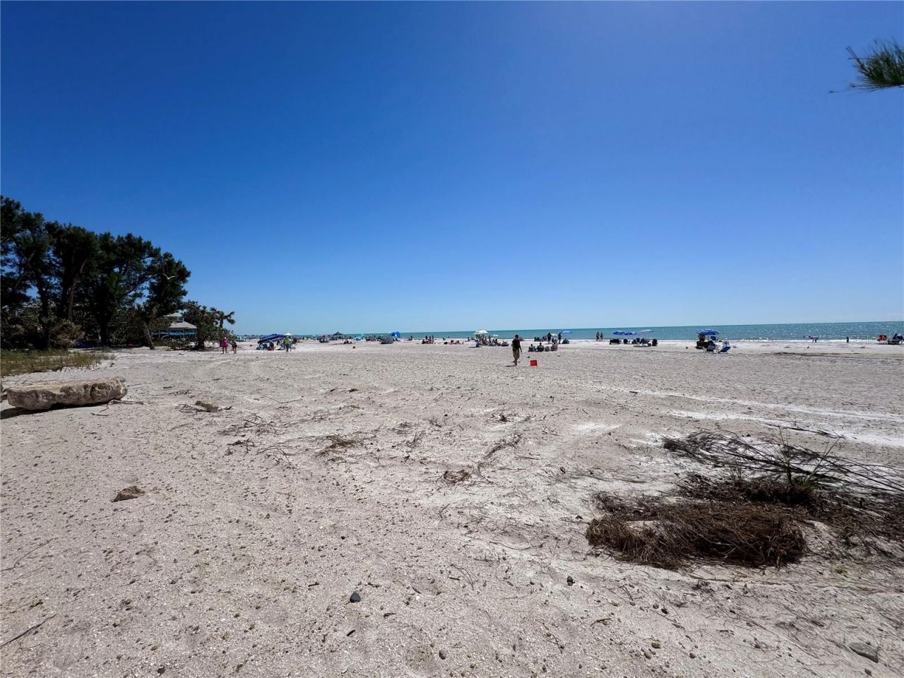 103 Elm Avenue, Anna Maria, FL 34216 Photo