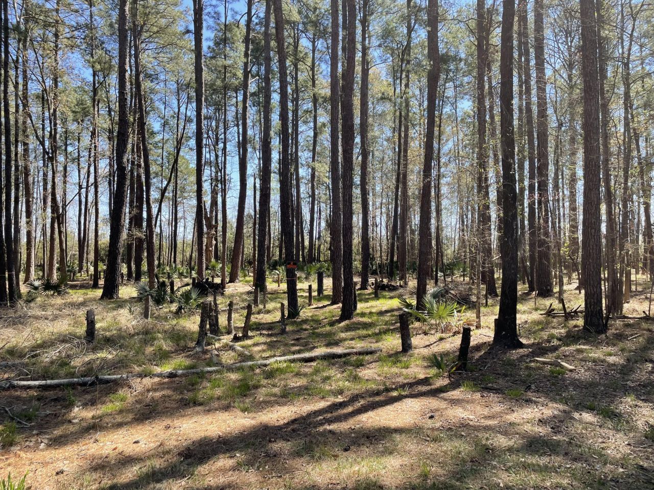 0 Backfield Road Photo 1