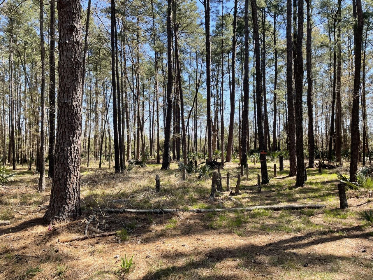 0 Backfield Road Photo 2