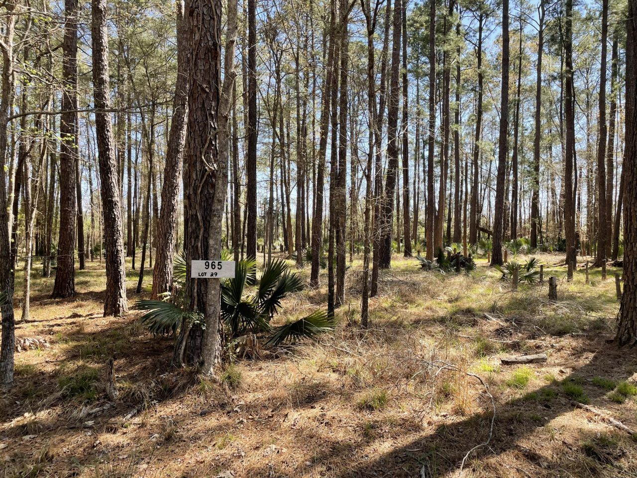 0 Backfield Road Photo 3