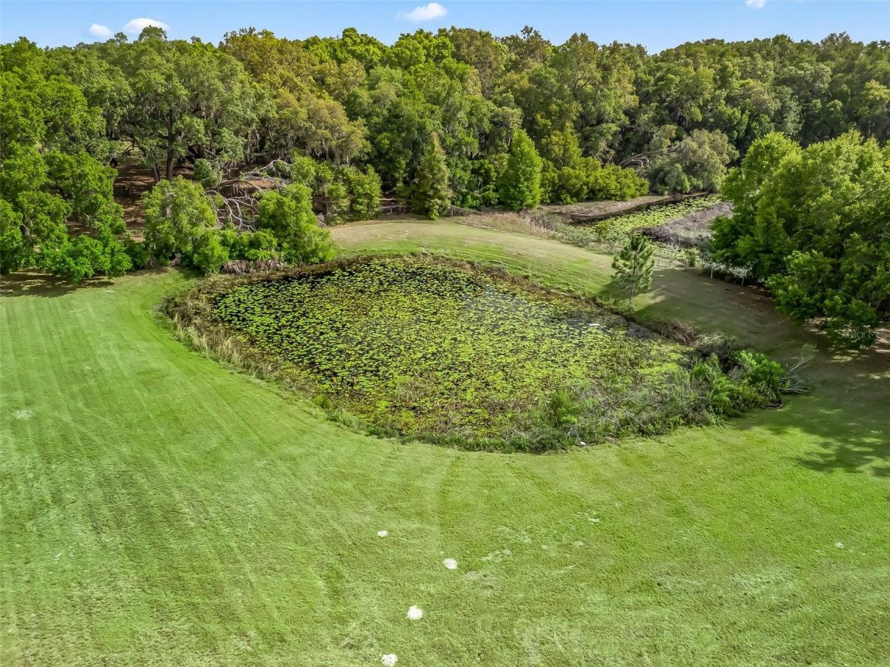 747 & 803 County Road 466a, Fruitland Park, FL 34731 Photo