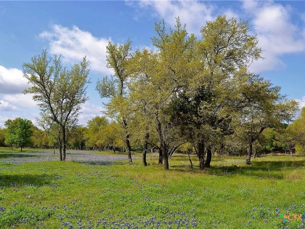 1290 County Road 4765, Kempner, TX 76539