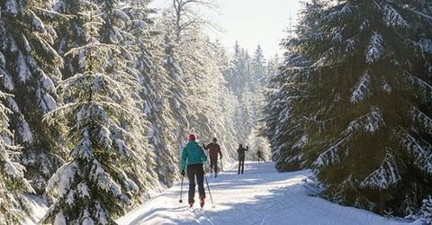 2100 North Village Drive, Truckee, CA 96961 Photo