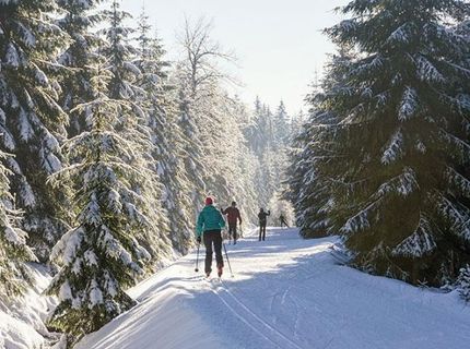 2100 North Village Drive, Truckee, CA 96961 Photo