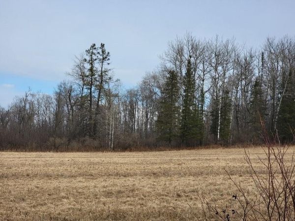 On Townline Road, Ojibwa, WI 54862