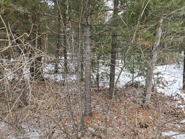 Celestial Drive, Idlewild, MI 49642