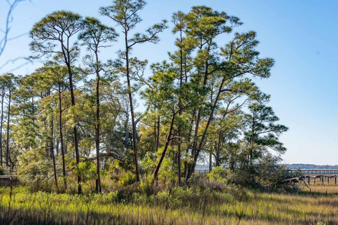 290 Shadow Race Lane Photo 12