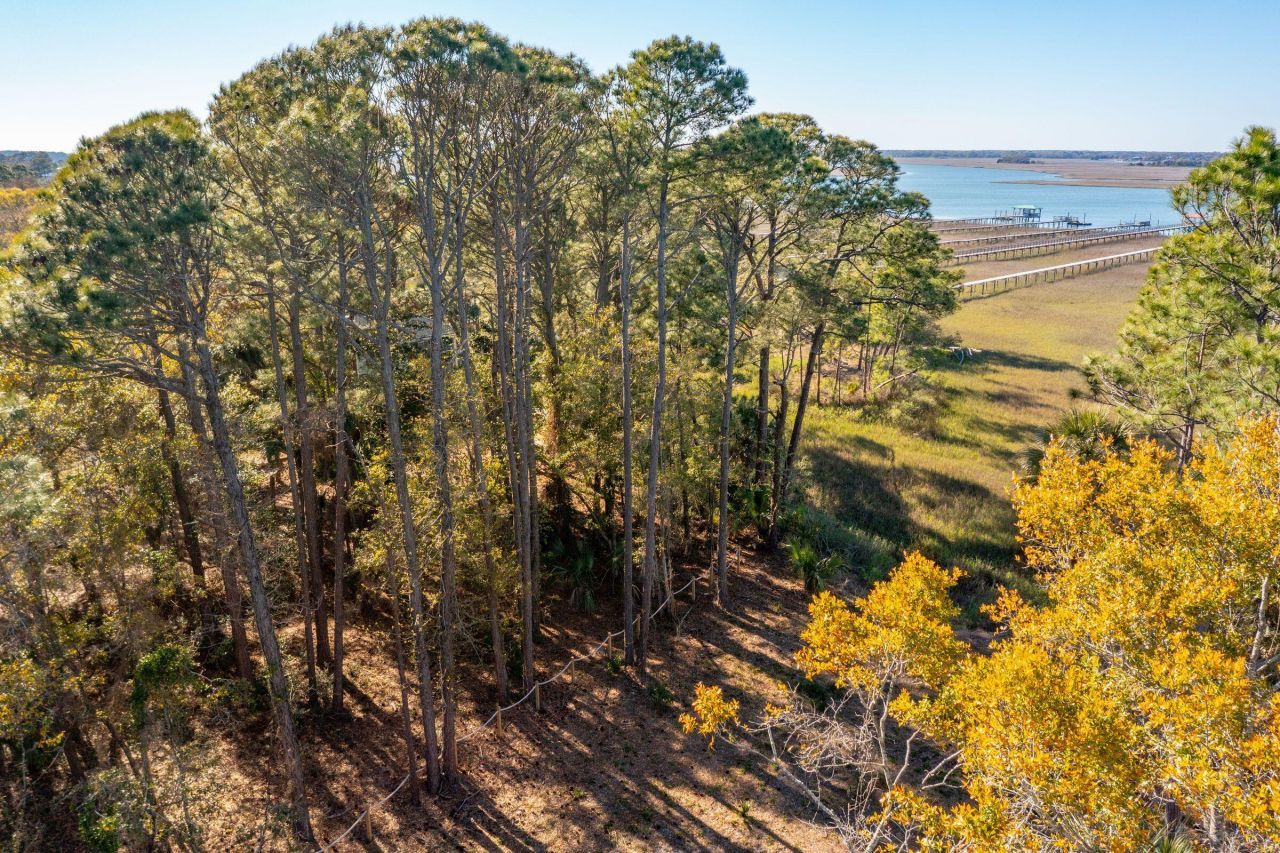 290 Shadow Race Lane Photo 14