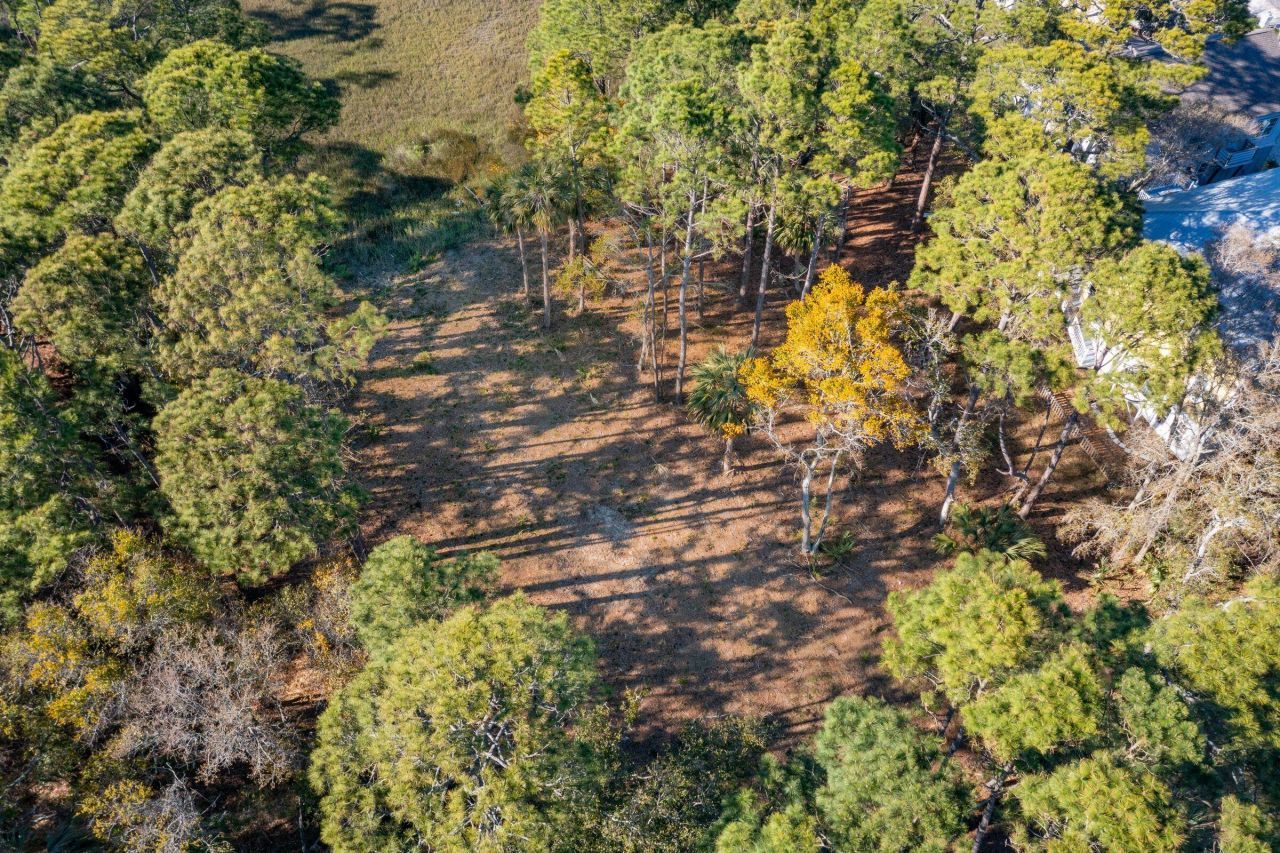 290 Shadow Race Lane Photo 25