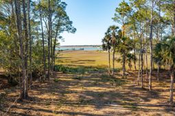 290 Shadow Race Lane photo 4