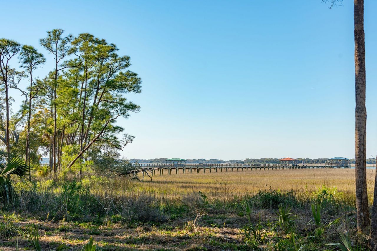 290 Shadow Race Lane Photo 4