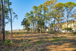 290 Shadow Race Lane photo 4