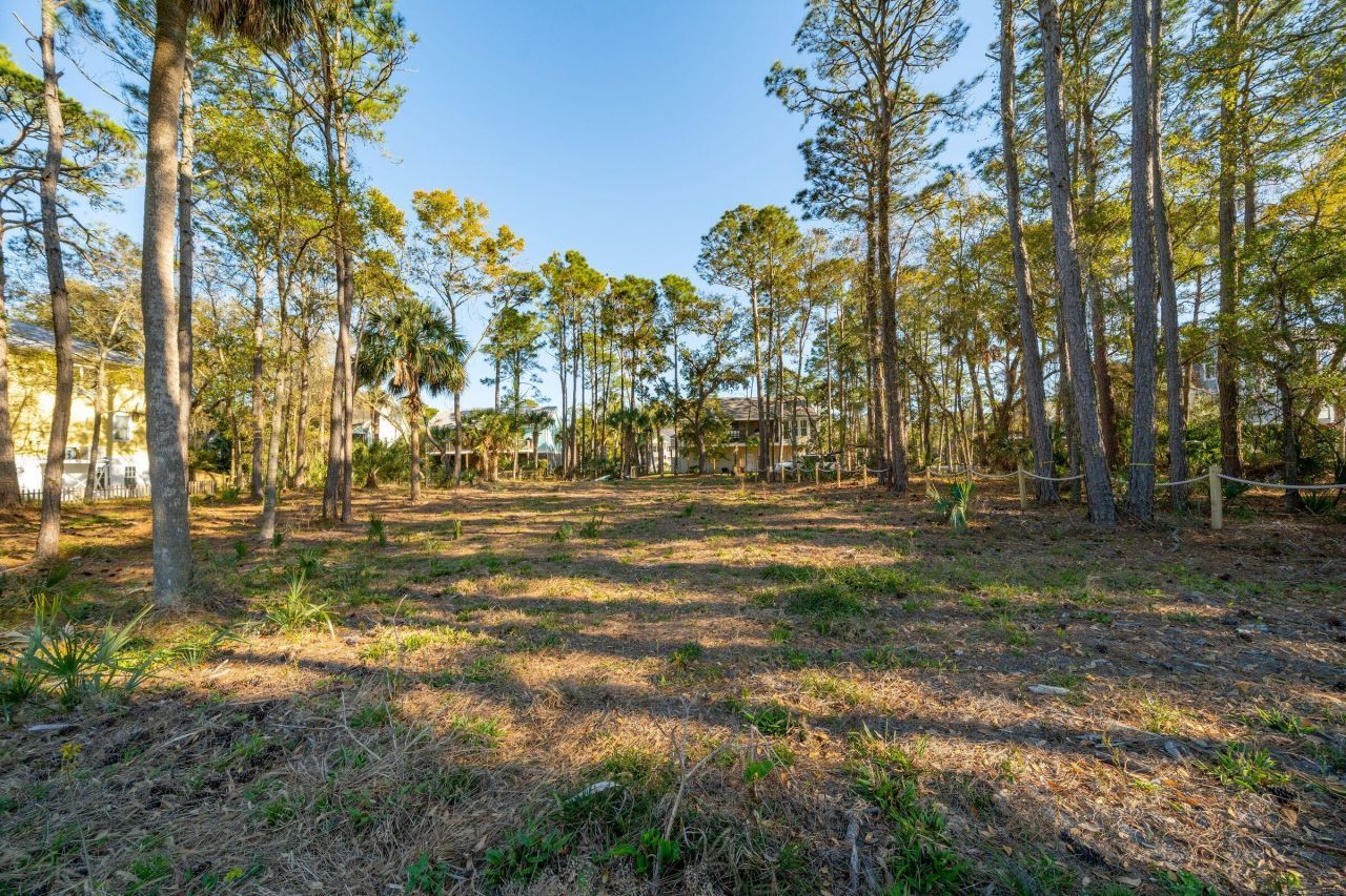 290 Shadow Race Lane Photo 9