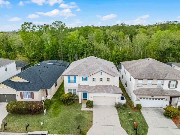 283 WILLOW VIEW DRIVE, DAVENPORT, FL 33896