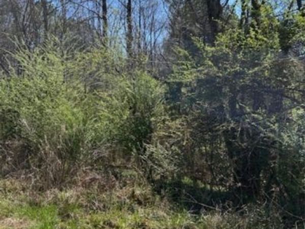 0 CATHEDERAL Lane, McCalla, AL 35111