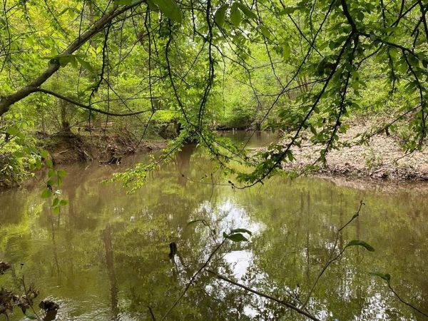 *** County Road 114 Road, Johnsville, AR 71647