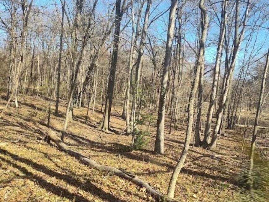 Saint Barnabas Road, Oxon Hill, MD 20745 Main Photo