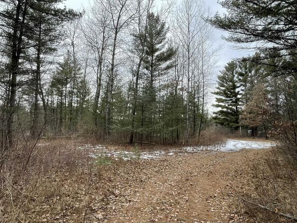 40 Acres SENECA ROAD, Port Edwards, WI 54469