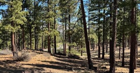 194 Cartwright Court, Carson City, NV 89705 Photo