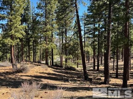 194 Cartwright Court, Carson City, NV 89705 Photo