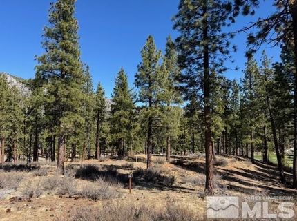 194 Cartwright Court, Carson City, NV 89705 Photo