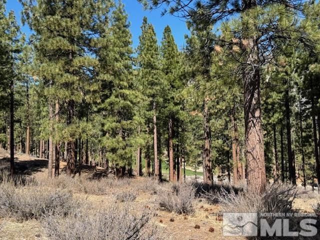 194 Cartwright Court, Carson City, NV 89705 Photo