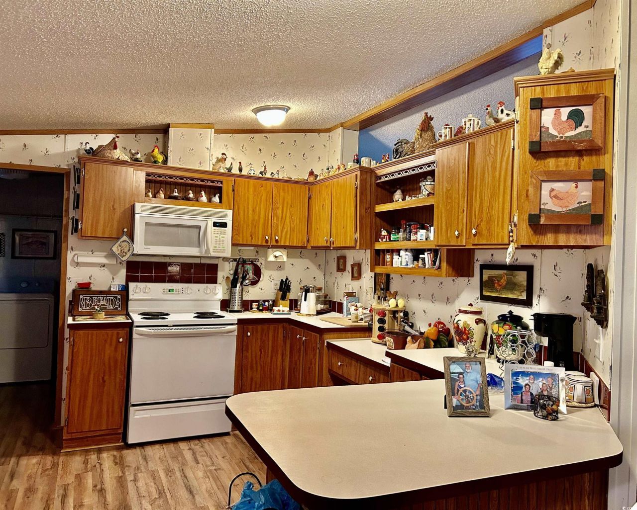 400 Wagon Wheel Loop Photo 17