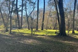 41 Mendel Court photo 4