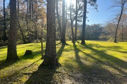 51 Mendel Court photo 4