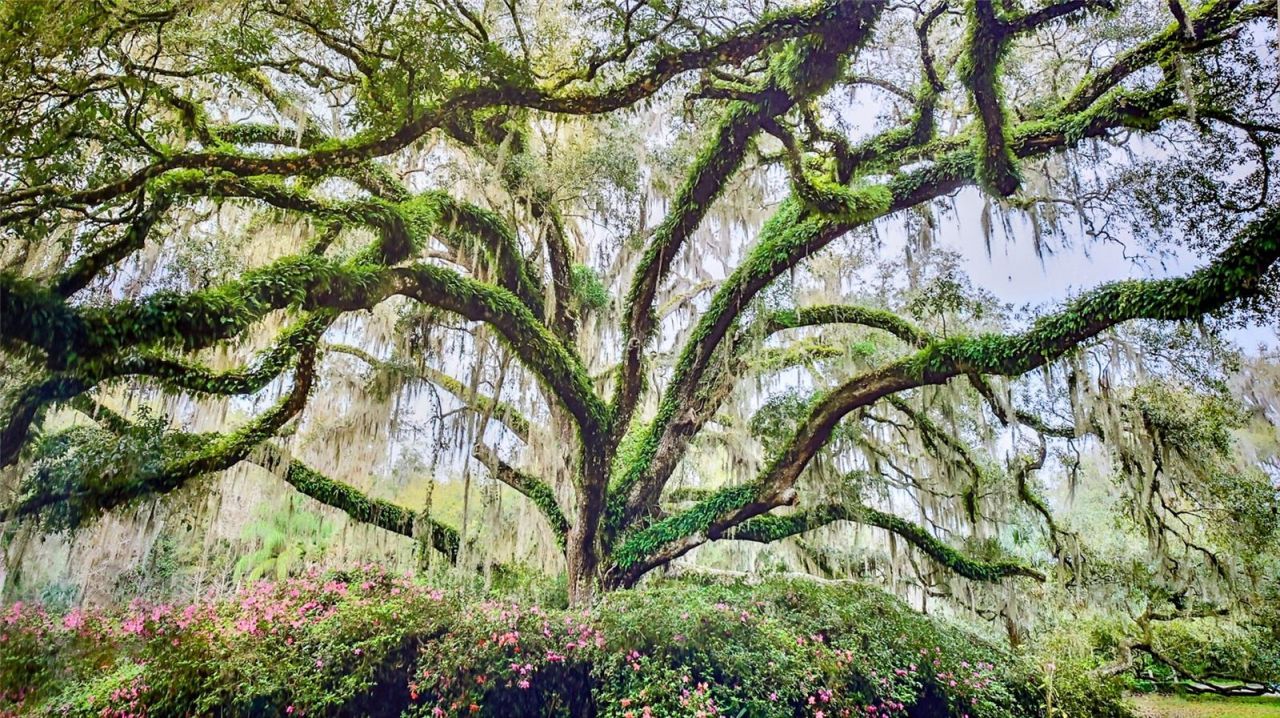 1 Hammock Beach Parkway, Palm Coast, FL 32137 Photo