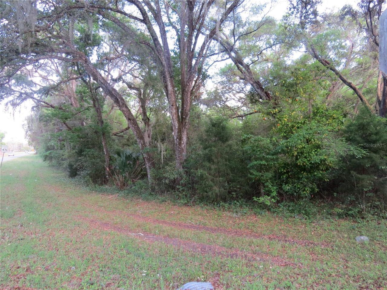 28380 Forbes Street, Nobleton, FL 34661 Photo